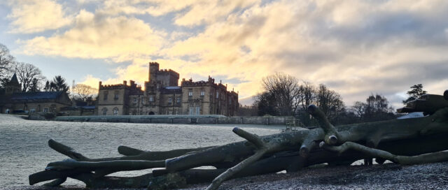 Event: New Year Starter