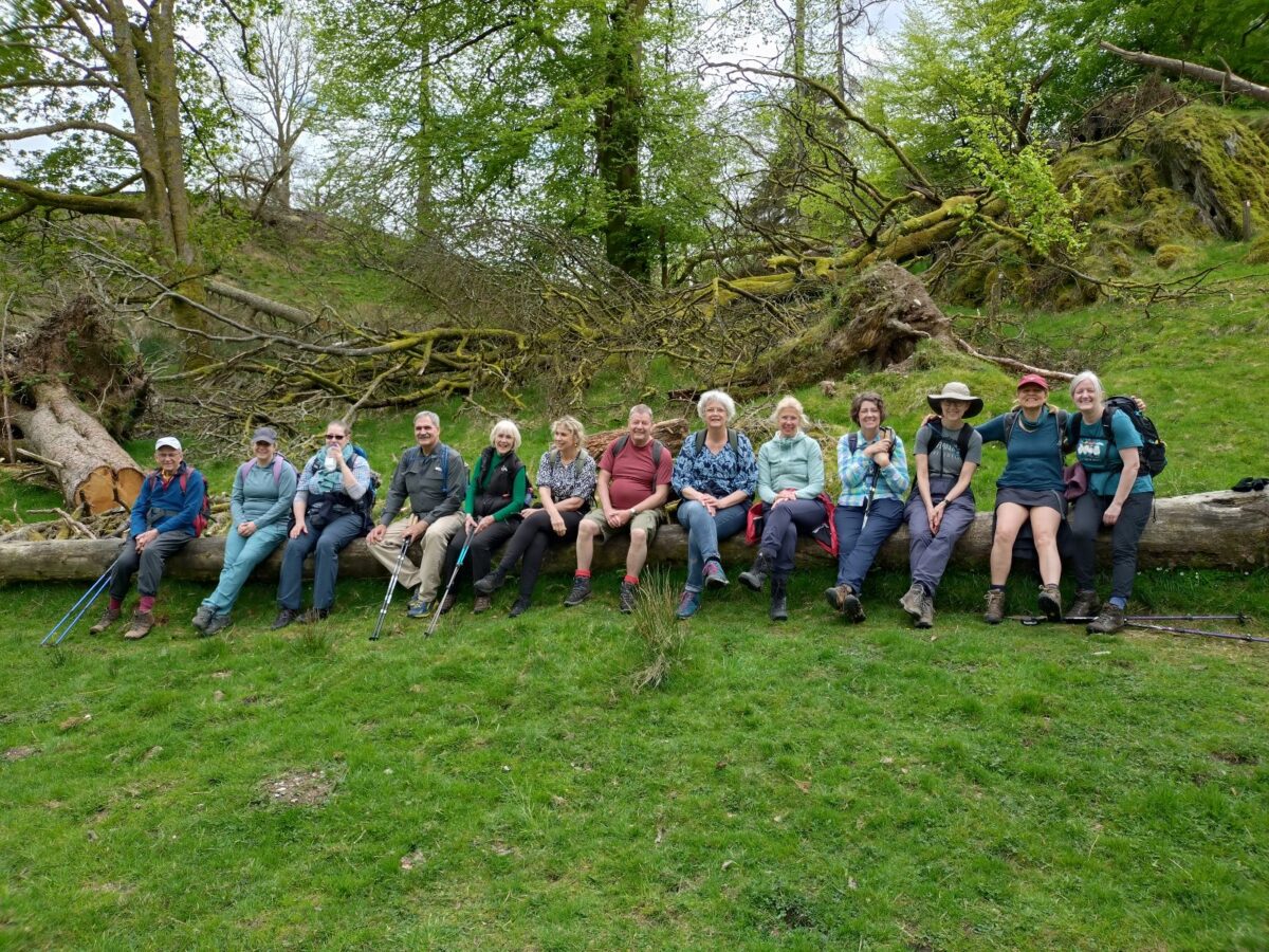 group picture outdoors